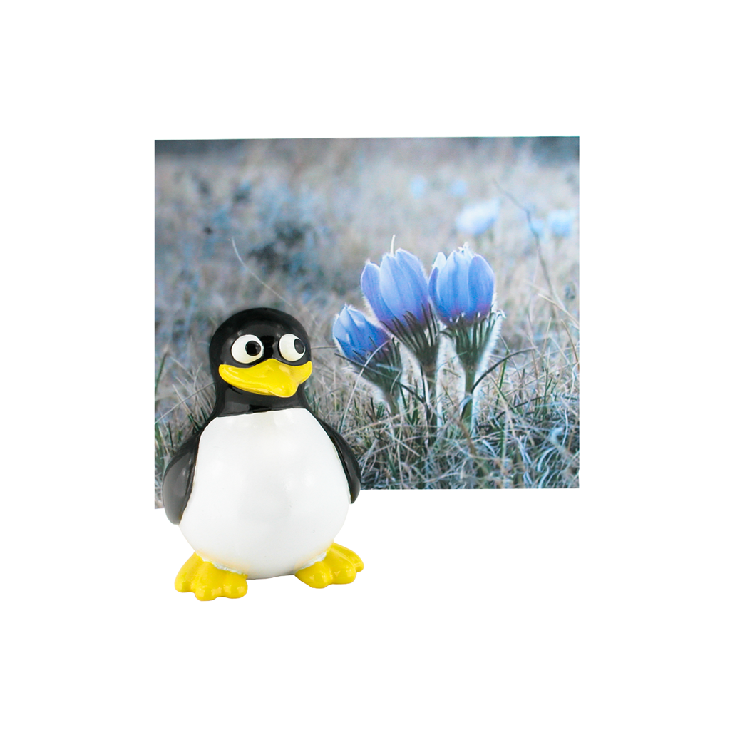 Animal Photo Holders (set of 6)